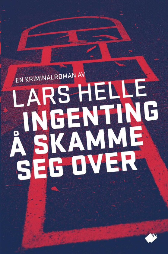 Ingenting å skamme seg over roman