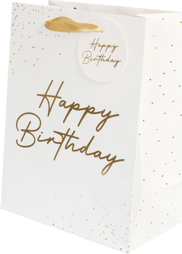 Gavepose Gull Happy Birthday