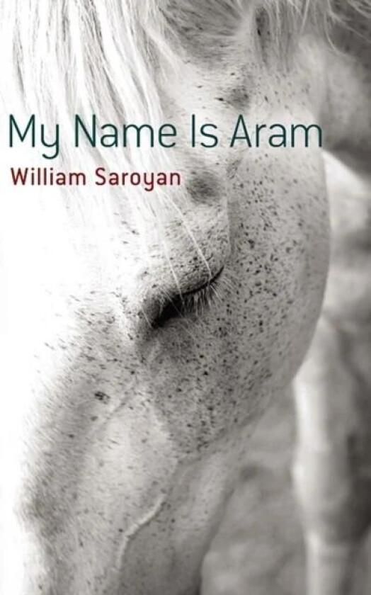 My Name is ARAM av WIlliam Saroyan