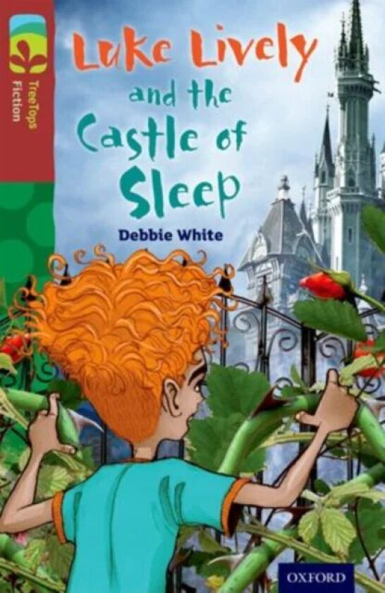 Oxford Reading Tree TreeTops Fiction: Level 15 More Pack A: Luke Lively and the Castle of Sleep av Debbie White