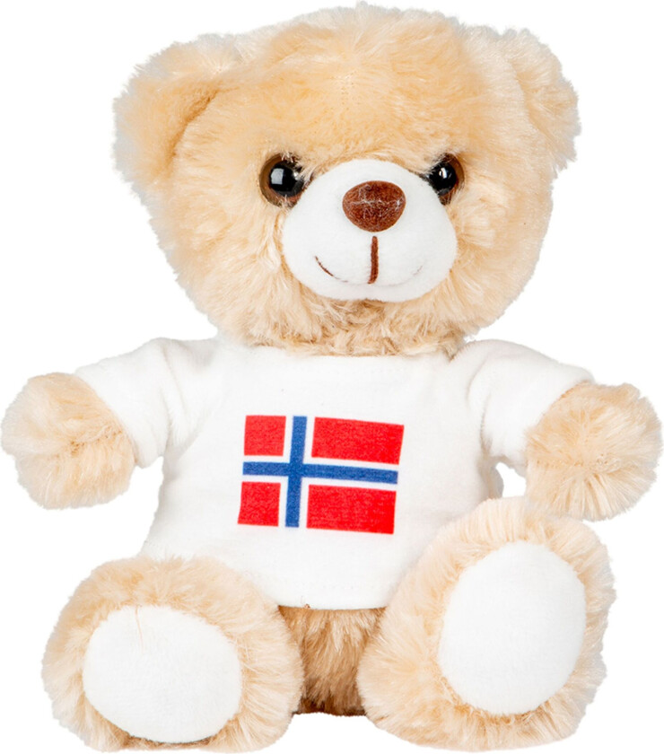 Kosebamse med Norsk Flagg