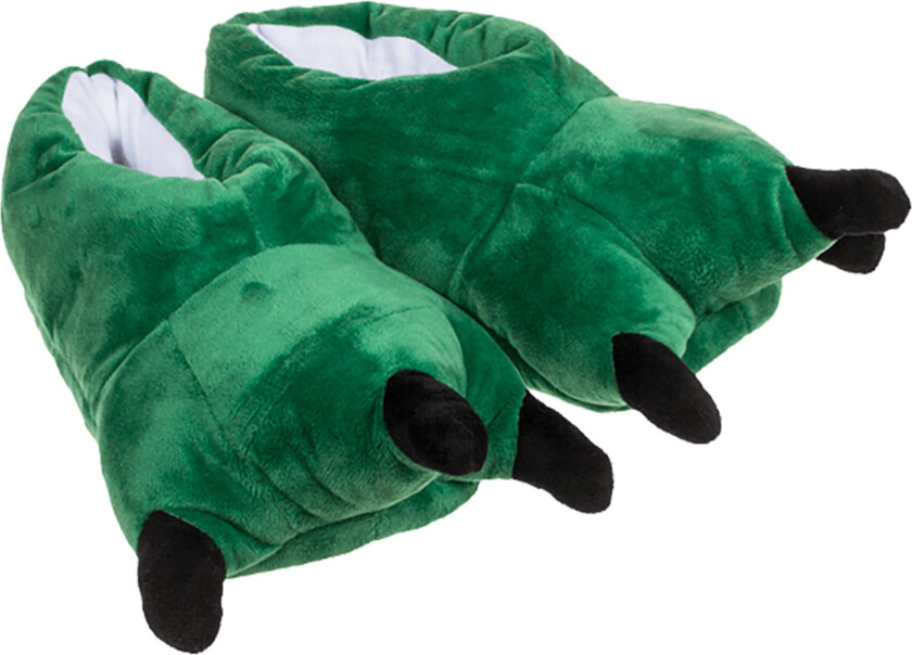 Tøfler for Barn Dinosaur - 33–34