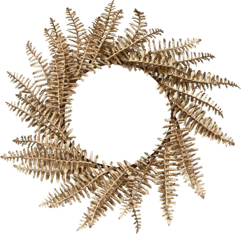 Bilde av Gyllen Julekrans Spisebrikke - 4-pakning