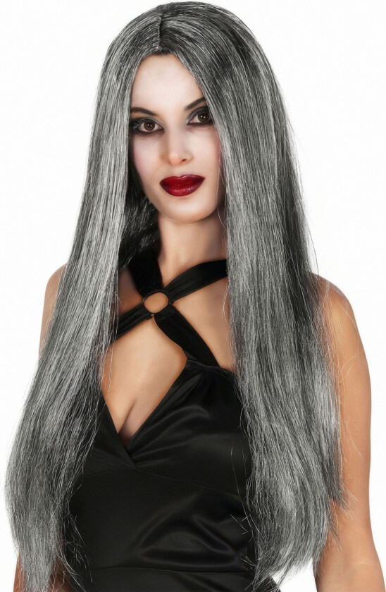 Lang Grå Parykk - One-size