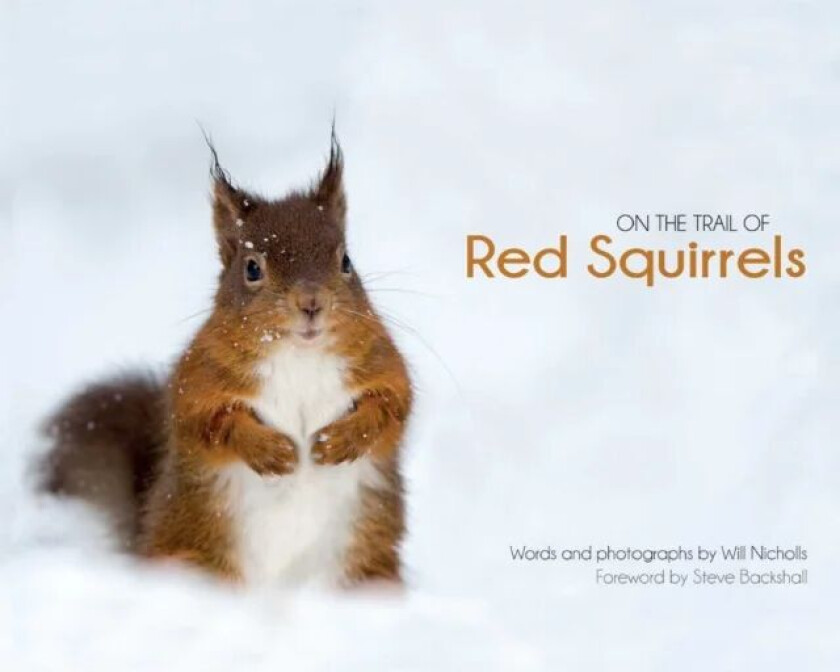 On the Trail of Red Squirrels av Will Nicholls