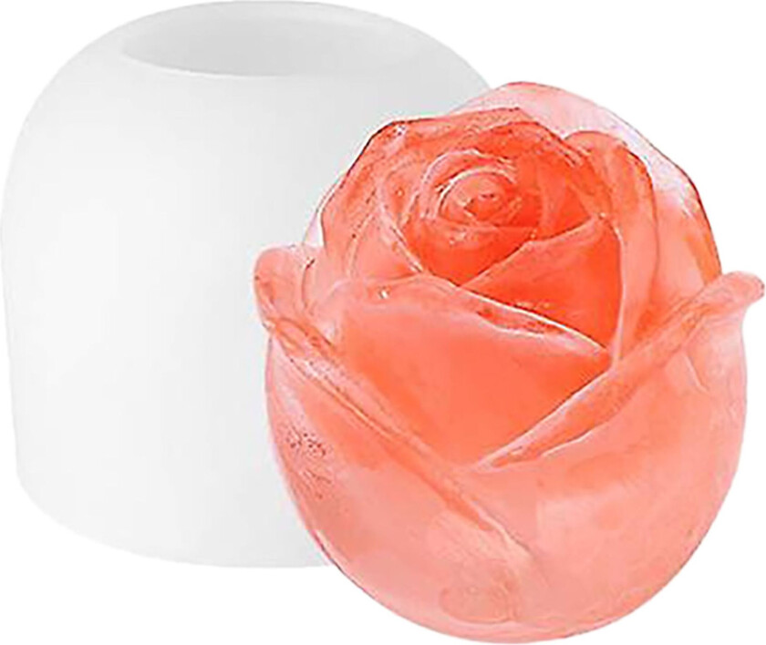 3D Isform Rose