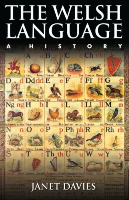 The Welsh Language av Janet Davies