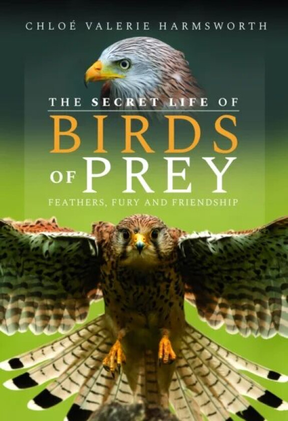 The Secret Life of Birds of Prey av Chloe Valerie Harmsworth