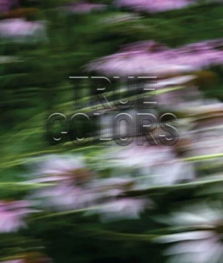 Zora J Murff: True Colors