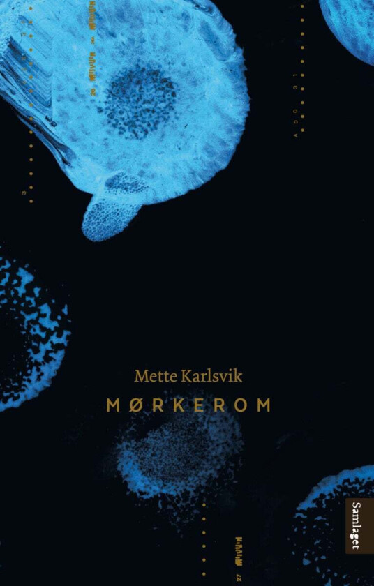Mørkerom av Mette Karlsvik