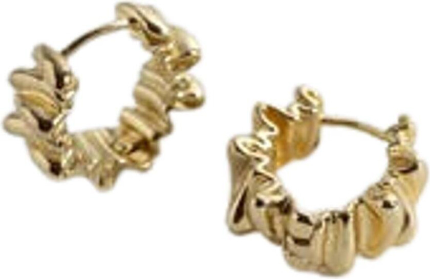 Wild Chunky Texture Hoop Earrings