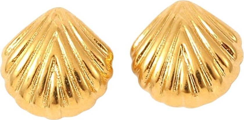 Ane Seashell Stud Earrings