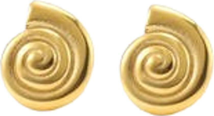 Ane Shell Stud Earrings