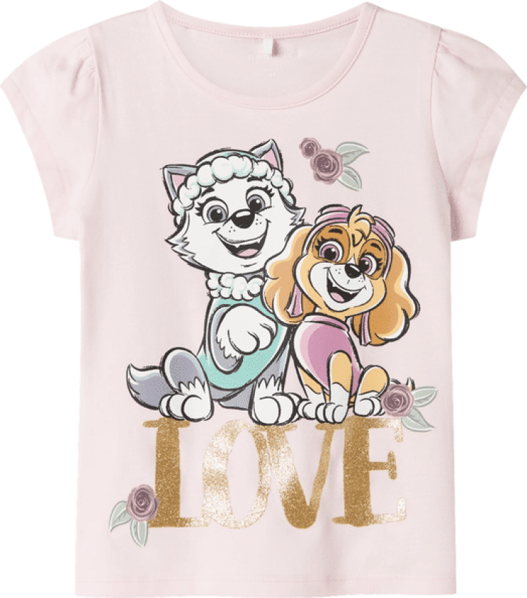 Name It Nmfmerida Paw Patrol t-skjorte småbarn, Ballerina