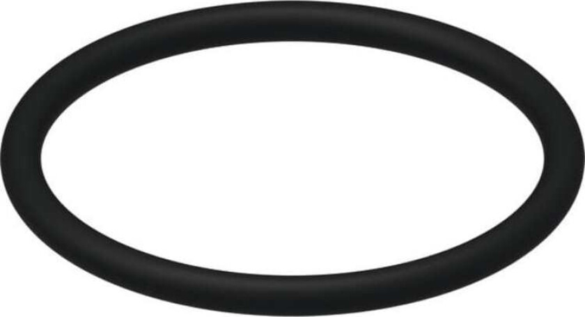 O-ring til Ventilsete