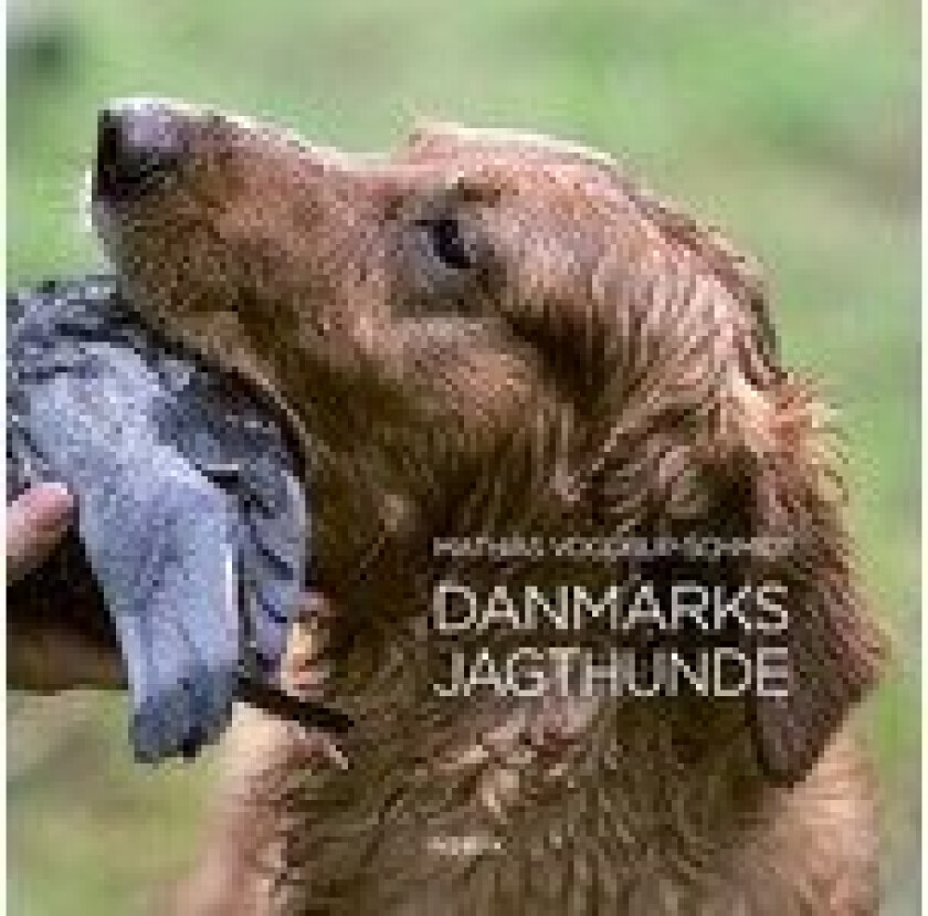 Danmarks jagthunde | Mathias Vogdrup-Schmidt | Språk: Dansk