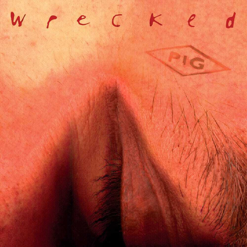 The Pig Wrecked CD