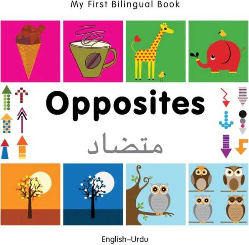 My First Bilingual Book Opposites (EnglishUrdu)