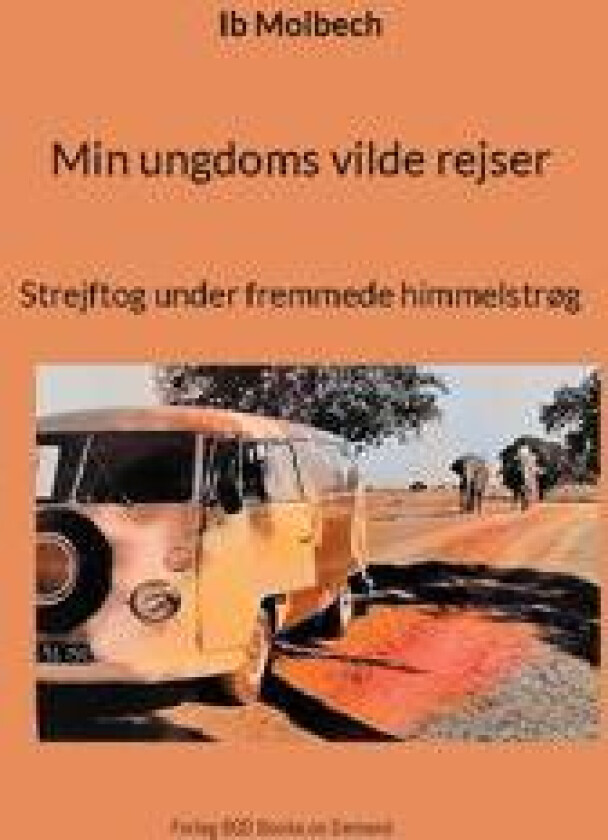 Min ungdoms vilde rejser