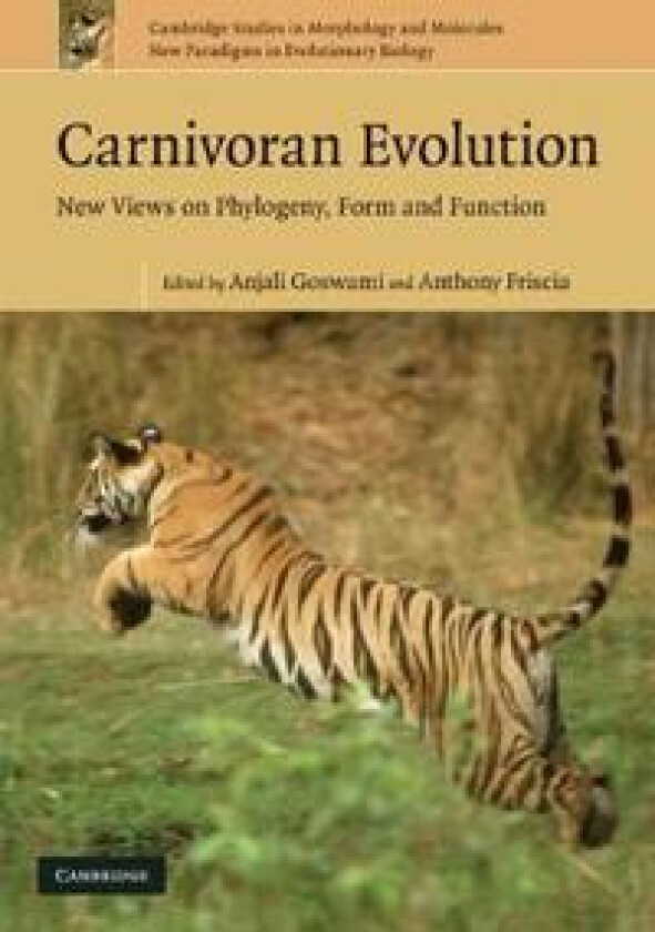 Carnivoran Evolution