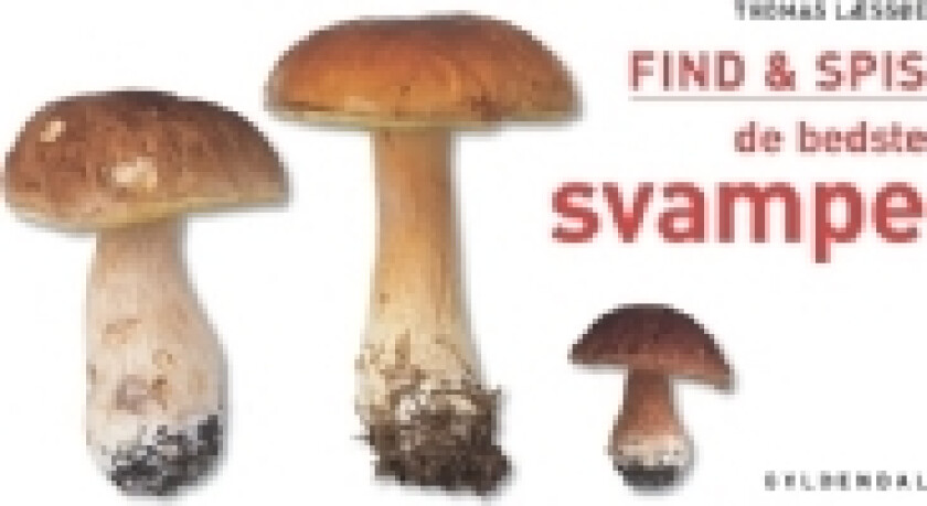 FIND & SPIS de bedste svampe | Thomas Læssøe | Språk: Dansk