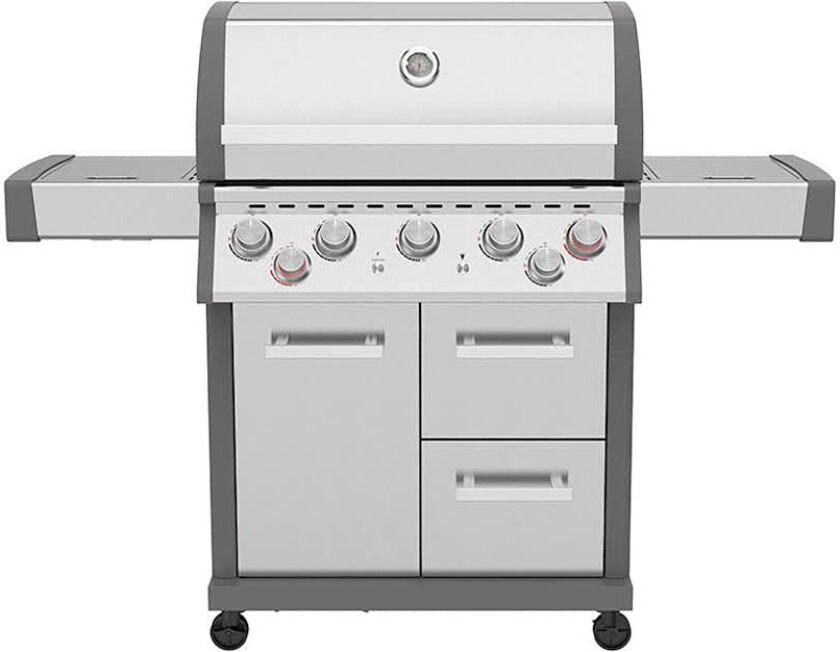 Gassgrill Bluegaz Z501