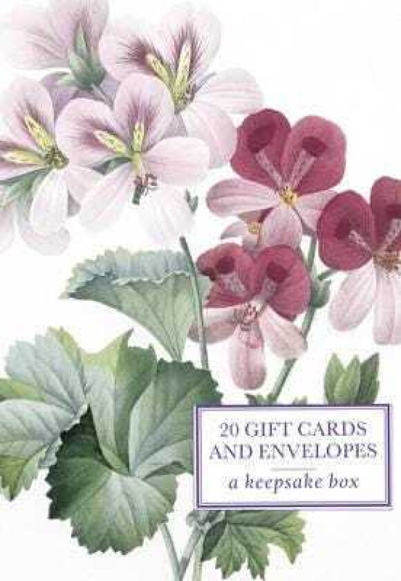 Tin Box of 20 Gift Cards and Envelopes: Redoute Geranium