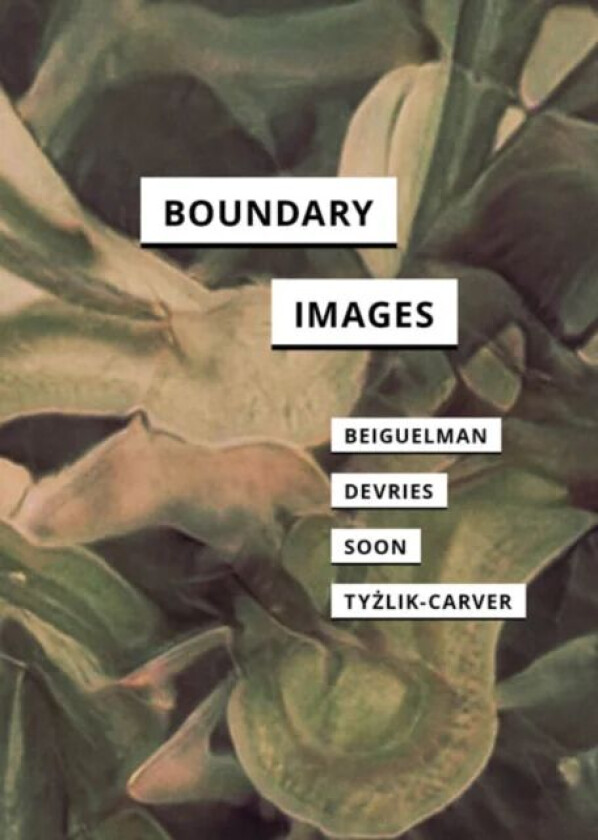 Boundary Images av Giselle Beiguelman, Melody Devries, Winnie Soon