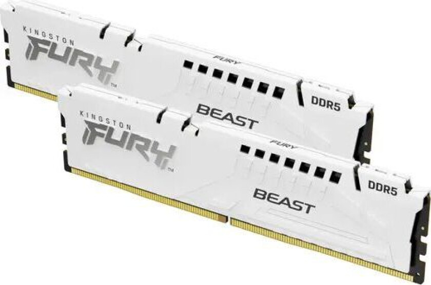 FURY Beast DDR5-6000 C36 DC - 64GB (AMD EXPO)