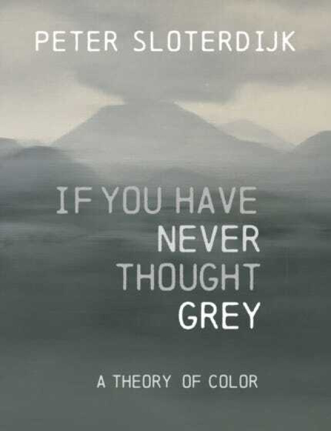 If You Have Never Thought Gray A Theory of Color