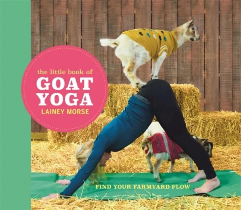 The Little Book of Goat Yoga av Lainey Morse