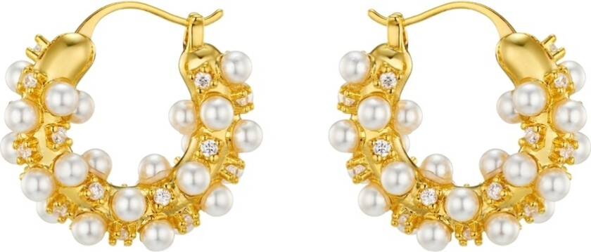 Pearl & Crystal Embellished Hoops