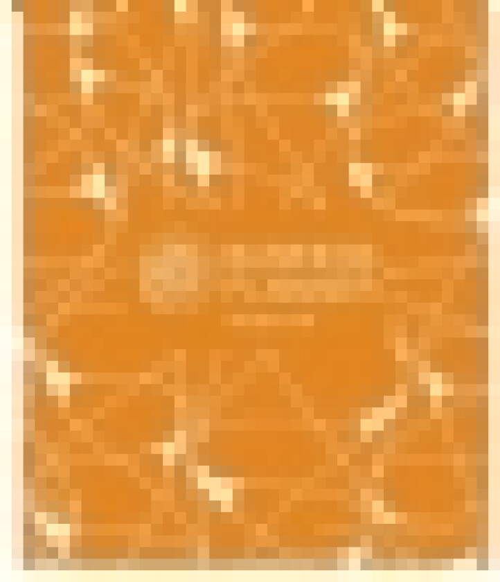 BUSINESS-PLANNER | Kristine Karlshøj & Marie Wöldike | Språk: Dansk