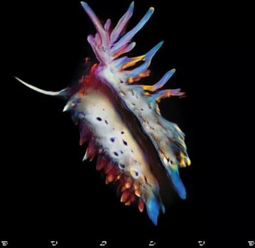 Sub Focus Evolve (Vinyl) 12″ Album (Clear vinyl) New