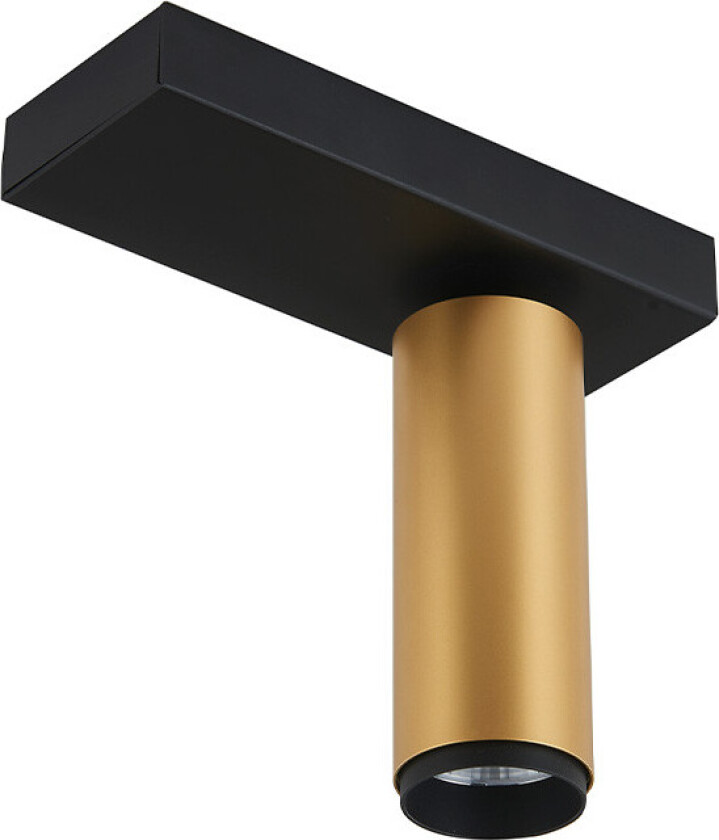 X-Beam Taklampe Singel Gold/Black