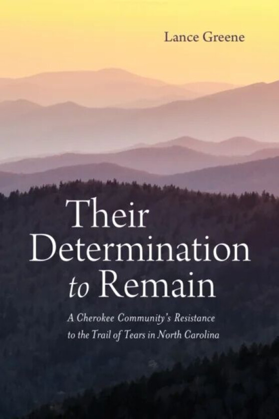 Their Determination to Remain av Lance Greene