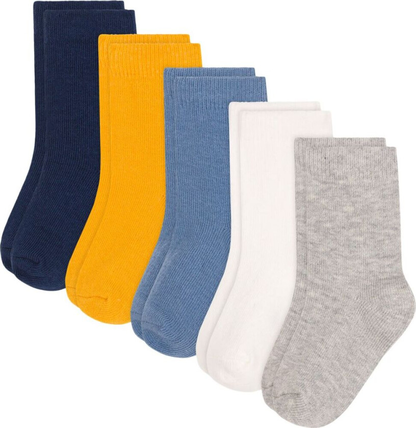Plain 5-pakning Bomullssokker Blue | Blå | 6-12 months