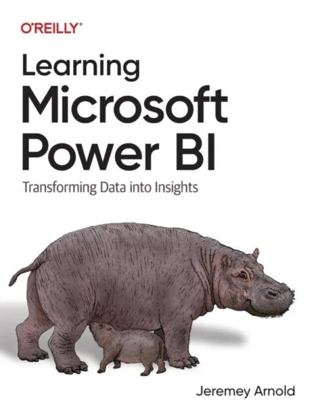 Learning Microsoft Power Bi av Jeremey Arnold