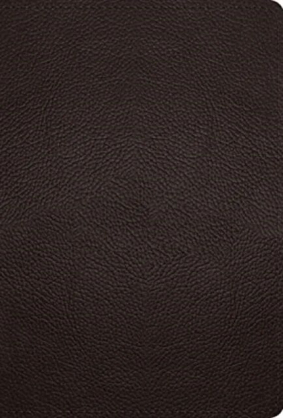 ESV Large Print Compact Bible