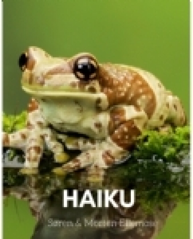 HAIKU | Søren og Morten Ellemose | Språk: Dansk