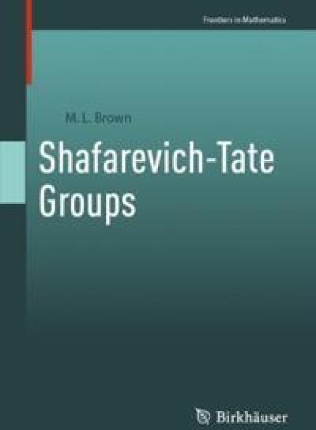 Shafarevich-Tate Groups