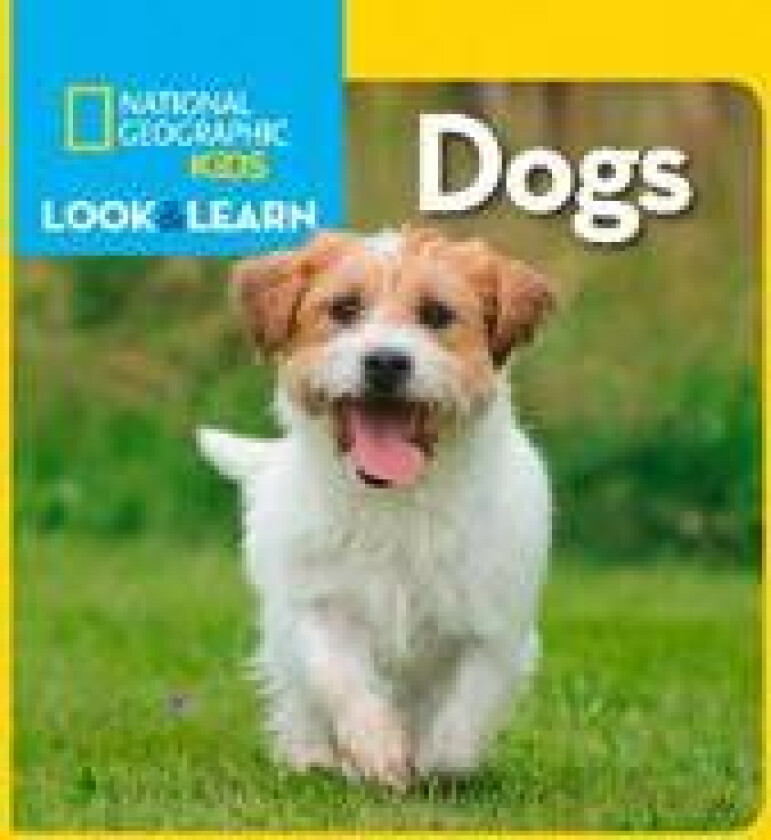 Look and Learn: Dogs