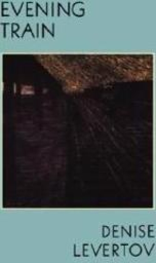 Evening Train: Poetry