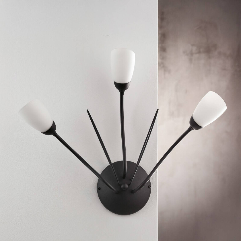Gloriosa vegglampe, svart, glass, 3 lyskilder