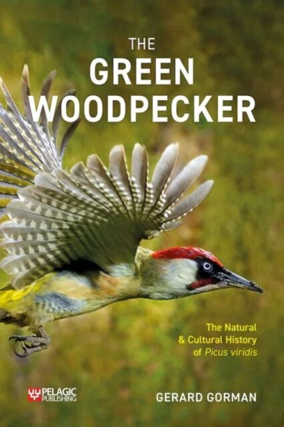 The Green Woodpecker av Gerard Gorman
