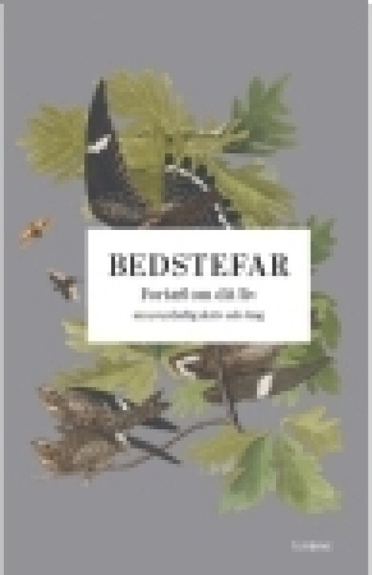 Bedstefar: Fortæl om dit liv