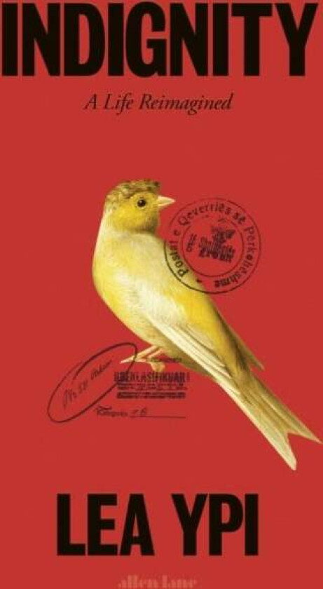 Indignity av Lea Ypi