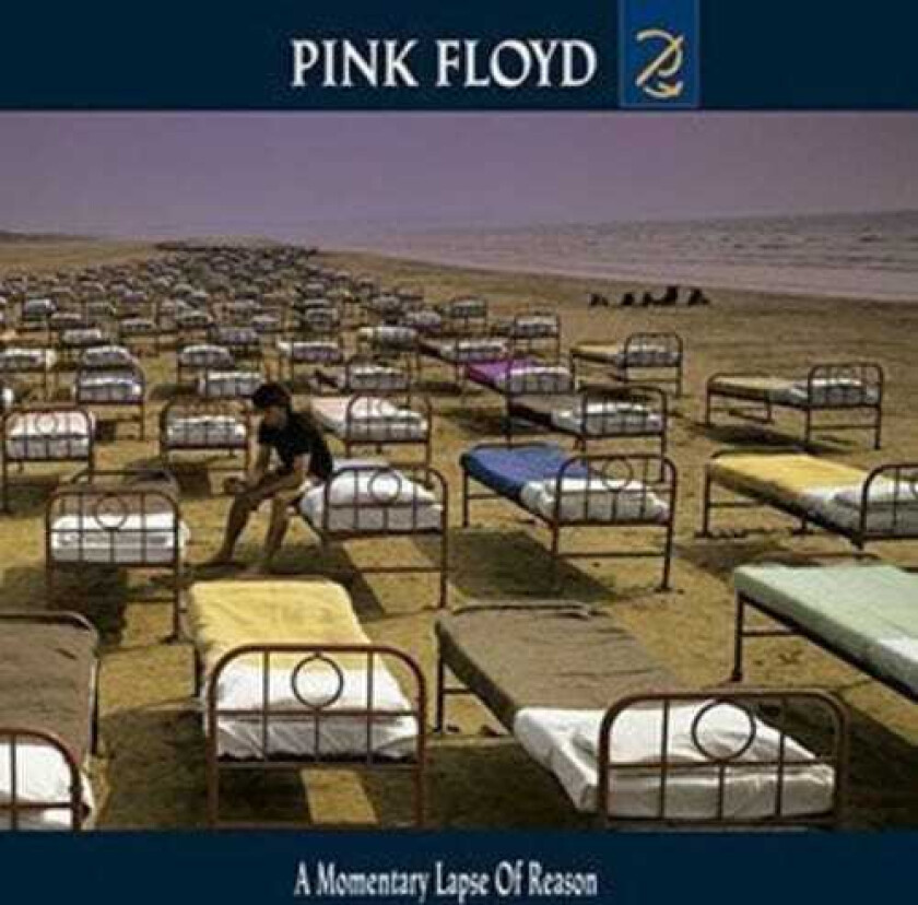 Pink Floyd Momentary Lapse Of Reason CD