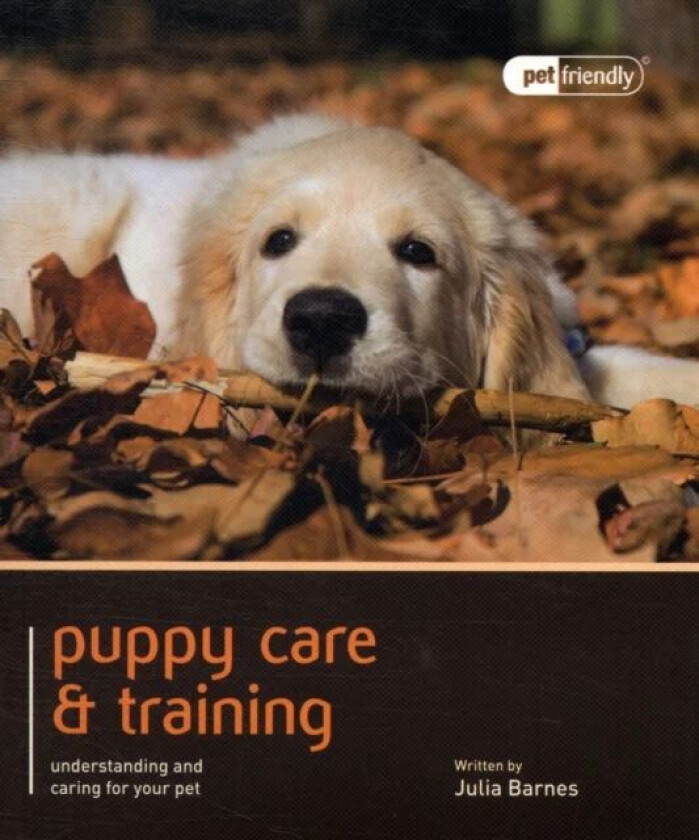 Puppy Training & Care - Pet Friendly av Julie Barnes