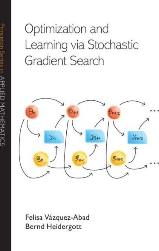Optimization and Learning via Stochastic Gradient Search